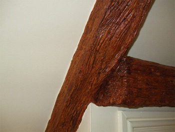 Old Oak Beams